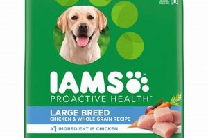 Save Big: Iams Dog Food in Bulk for Happy Pups! | World’s Most Delicious Foods: Must-Try Dishes from Every Country
