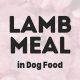 Is Lamb Meal Good Dog Food? Benefits &amp; Guide | World’s Most Delicious Foods: Must-Try Dishes from Every Country