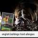 Top Rated: Best Food for English Bulldog Skin Allergies Relief | World’s Most Delicious Foods: Must-Try Dishes from Every Country