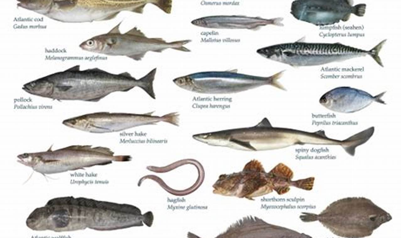 Best Atlantic Food Fish: Guide & Recipes | World’s Most Delicious Foods: Must-Try Dishes from Every Country