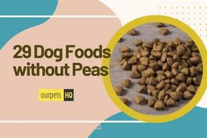 Best Pea-Free Dog Food: Nourish Your Dog Naturally | World’s Most Delicious Foods: Must-Try Dishes from Every Country
