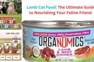 Best Lamb Cat Food: Healthy & Delicious! | World’s Most Delicious Foods: Must-Try Dishes from Every Country