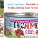 Best Lamb Cat Food: Healthy & Delicious! | World’s Most Delicious Foods: Must-Try Dishes from Every Country