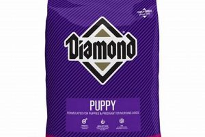 Best Diamond Puppy Dog Food: Fueling Growth & Health | World’s Most Delicious Foods: Must-Try Dishes from Every Country