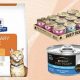 Top Rated Best Urinary Cat Food: Reviews &amp; Guide | World’s Most Delicious Foods: Must-Try Dishes from Every Country