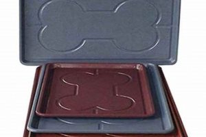 Best Dog Food in Trays: Premium Meals for Your Pup World’s Most Delicious Foods: Must-Try Dishes from Every Country Best Dog Food in Trays: Premium Meals for Your Pup | World’s Most Delicious Foods: Must-Try Dishes from Every Country