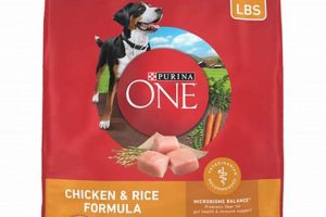 Best Dog Food Red Bag: Reviews & Buying Guide | World’s Most Delicious Foods: Must-Try Dishes from Every Country