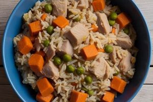 Is Turkey Rice Dog Food Right For Your Pup? Expert Advice | World’s Most Delicious Foods: Must-Try Dishes from Every Country