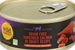 Best Wild Harvest Cat Food: Nourish Your Feline Friend! | World’s Most Delicious Foods: Must-Try Dishes from Every Country
