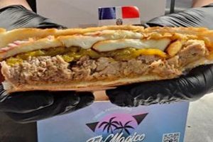 Taste of Home: El Magico Food Truck Near You! | World’s Most Delicious Foods: Must-Try Dishes from Every Country
