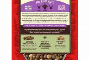 Raw Blend Dog Food: The Ultimate Guide For Health | World’s Most Delicious Foods: Must-Try Dishes from Every Country