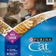 Best Deals: Cat Food 40 lb Bags - Savings Inside! | World’s Most Delicious Foods: Must-Try Dishes from Every Country