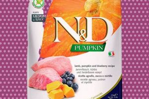 Pea-Free Dog Food: The Ultimate Guide & Best Options | World’s Most Delicious Foods: Must-Try Dishes from Every Country