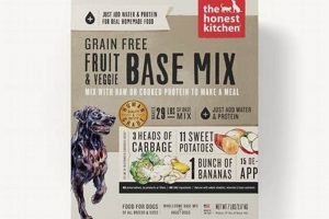 DIY Dog Food Base Mix: Healthy & Homemade Options | World’s Most Delicious Foods: Must-Try Dishes from Every Country