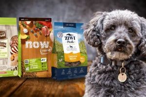 Top-Rated: Best Dog Food for Schnoodles [2024 Guide] | World’s Most Delicious Foods: Must-Try Dishes from Every Country