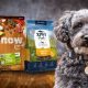 Top-Rated: Best Dog Food for Schnoodles [2024 Guide] | World’s Most Delicious Foods: Must-Try Dishes from Every Country