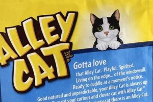 Best Alley Cat Food: Guide & Tips for Feeding Feral Cats | World’s Most Delicious Foods: Must-Try Dishes from Every Country