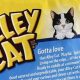 Best Alley Cat Food: Guide & Tips for Feeding Feral Cats | World’s Most Delicious Foods: Must-Try Dishes from Every Country