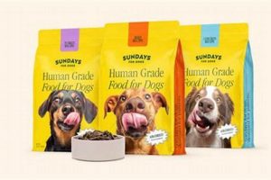 Sundays Dog Food Cost: Price Guide + Value [2024] | World’s Most Delicious Foods: Must-Try Dishes from Every Country