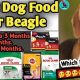 The Ultimate Guide: Best Dog Food for Beagle Puppies (2024) | World’s Most Delicious Foods: Must-Try Dishes from Every Country