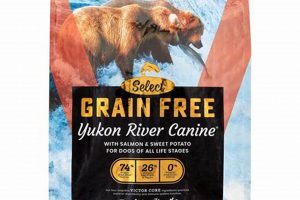 Best Victor Grain Free Dog Food: Reviews & Benefits | World’s Most Delicious Foods: Must-Try Dishes from Every Country