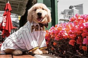 Petco Park Food Policy: Can You Bring Food Into Petco Park? | World’s Most Delicious Foods: Must-Try Dishes from Every Country