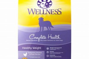 Best Wellness Healthy Weight Dog Food + Tips for Your Dog! | World’s Most Delicious Foods: Must-Try Dishes from Every Country