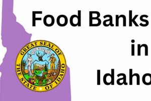 Your Guide: Food Banks in Twin Falls, ID (Resources) | World’s Most Delicious Foods: Must-Try Dishes from Every Country