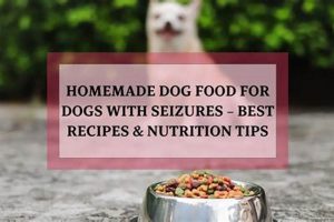 The Best: Dog Food for Seizures | Expert Picks & Tips | World’s Most Delicious Foods: Must-Try Dishes from Every Country