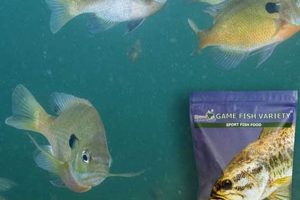 Best Bluegill Fish Food: Buyer's Guide & More! | World’s Most Delicious Foods: Must-Try Dishes from Every Country