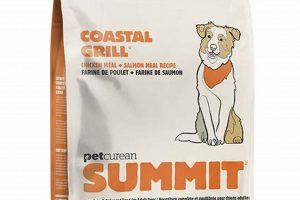 Best Summit Dog Food: Reviews & Nutrition Tips for Dogs | World’s Most Delicious Foods: Must-Try Dishes from Every Country