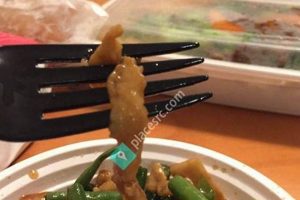 Best Chinese Food Near Kearny NJ: Explore the Flavors! | World’s Most Delicious Foods: Must-Try Dishes from Every Country