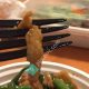 Best Chinese Food Near Kearny NJ: Explore the Flavors! | World’s Most Delicious Foods: Must-Try Dishes from Every Country