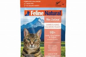 Best Feline Natural Cat Food: Your Cat's Health Secret | World’s Most Delicious Foods: Must-Try Dishes from Every Country