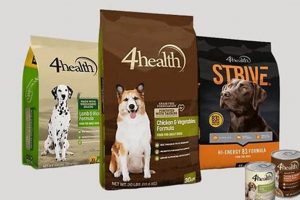 Best 4Health Dog Food Reviews: Quality & Value For Dogs | World’s Most Delicious Foods: Must-Try Dishes from Every Country