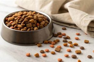 Dog Nutrition: How Long Does Dry Dog Food Last Once Opened? Tips &amp; Tricks | World’s Most Delicious Foods: Must-Try Dishes from Every Country