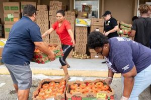 Support the Needy: Federal Way Food Bank Distribution Center Near You | World’s Most Delicious Foods: Must-Try Dishes from Every Country