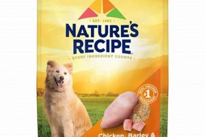 Best Nature's Recipe Dog Food: Reviews & More! | World’s Most Delicious Foods: Must-Try Dishes from Every Country