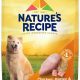 Best Nature's Recipe Dog Food: Reviews & More! | World’s Most Delicious Foods: Must-Try Dishes from Every Country