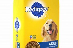 Save on Pedigree: Dog Food Coupon Deals Today! | World’s Most Delicious Foods: Must-Try Dishes from Every Country