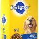 Save on Pedigree: Dog Food Coupon Deals Today! | World’s Most Delicious Foods: Must-Try Dishes from Every Country