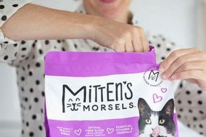 Best Morsels Cat Food: Fueling Feline Health Today | World’s Most Delicious Foods: Must-Try Dishes from Every Country