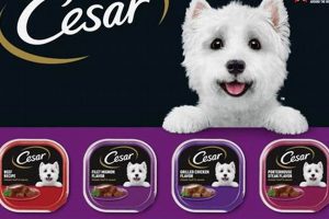 Cesar Dog Food: Is It Good For Your Dog? The Truth! | World’s Most Delicious Foods: Must-Try Dishes from Every Country