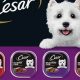 Cesar Dog Food: Is It Good For Your Dog? The Truth! | World’s Most Delicious Foods: Must-Try Dishes from Every Country