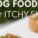 DIY Homemade Dog Food for Itchy Skin Relief & Health | World’s Most Delicious Foods: Must-Try Dishes from Every Country