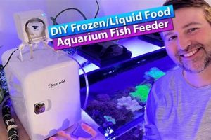 Best Frozen Fish Food Feeder: Auto Fish Feeding! | World’s Most Delicious Foods: Must-Try Dishes from Every Country