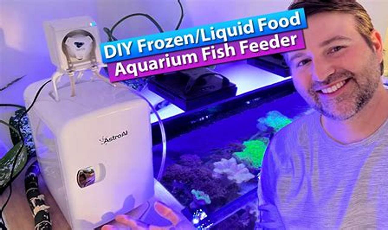 Best Frozen Fish Food Feeder: Auto Fish Feeding! | World’s Most Delicious Foods: Must-Try Dishes from Every Country