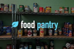 Your Mattoon IL Food Pantry Guide: Find Food Assistance Near You | World’s Most Delicious Foods: Must-Try Dishes from Every Country