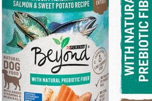 Best Salmon Canned Dog Food: Brands & Benefits | World’s Most Delicious Foods: Must-Try Dishes from Every Country