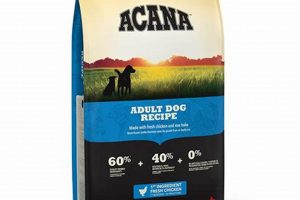Dog Food Brands: Who Really Owns Acana + Ownership Impact | World’s Most Delicious Foods: Must-Try Dishes from Every Country